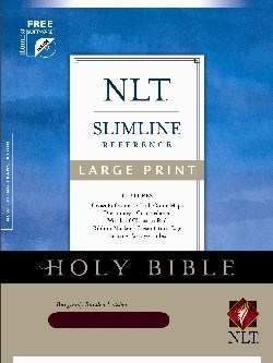 Slimline Reference Large Print With Free ILumina Software